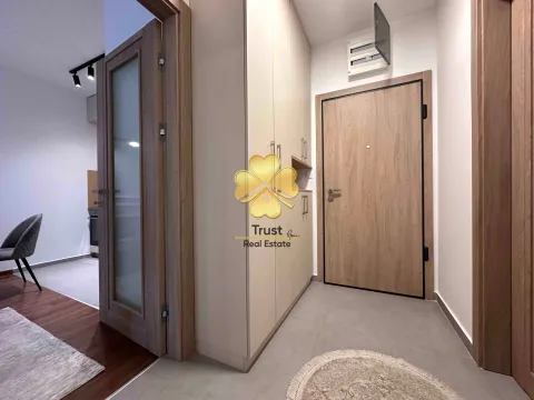 Izdavanje, jednosoban stan, 52m², Master Kvart, Podgorica - image 6