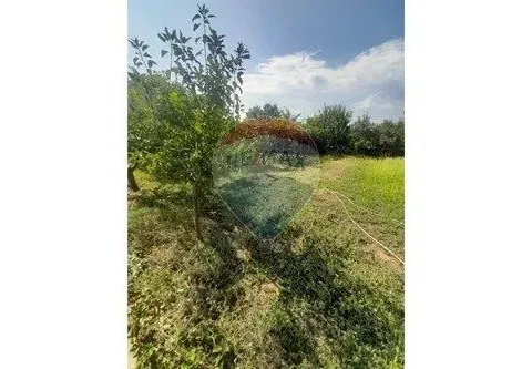 Prodaja, plac, Zlatica, Podgorica - image 3