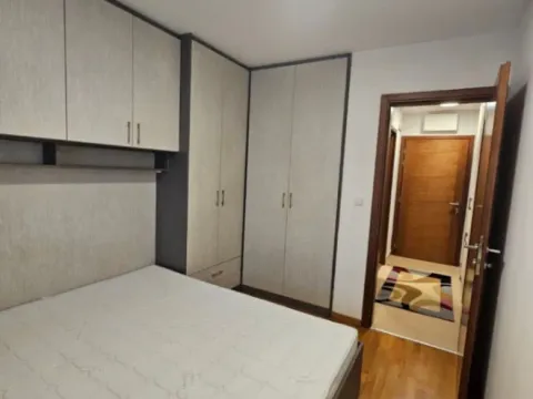 Izdavanje, jednosoban stan, 43m², Tološi, Podgorica - image 6