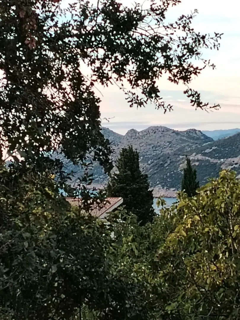 Pogled na brda i prirodu kroz krošnje drveća.