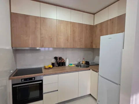 Izdavanje, jednosoban stan, 49m², Central Point, Podgorica - image 3