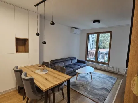 Izdavanje, dvosoban stan, 47m², Vračar Sve Podlokacije, Beograd - image 3