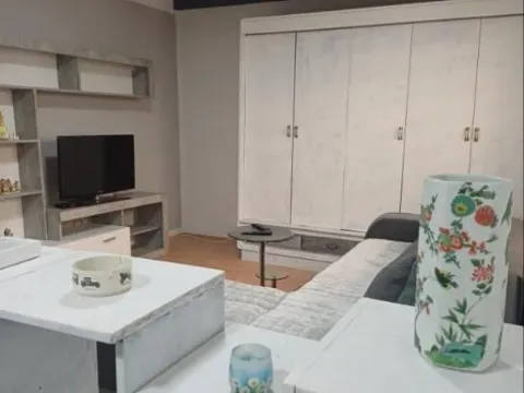 Izdavanje, dvosoban stan, 50m², Liman 4, Novi Sad Sve Podlokacije - image 9