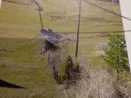 Sale, land lot, 15500m², Krš, Žabljak - image 2