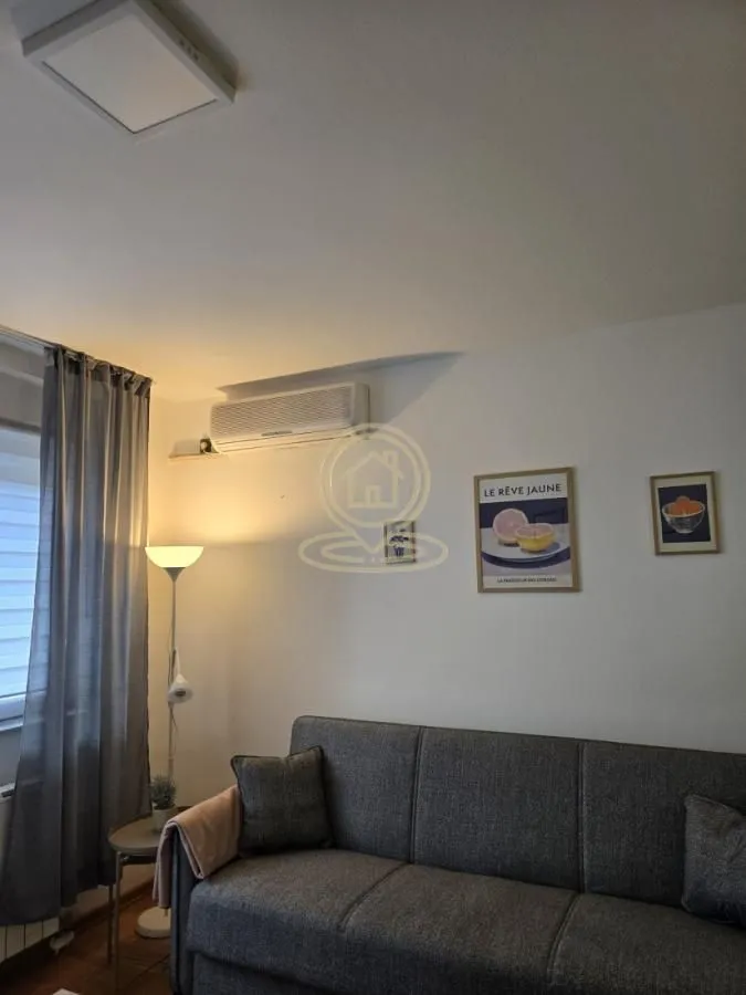 Izdavanje, jednosoban stan, 30m², Adamovićevo Naselje, Novi Sad Sve Podlokacije