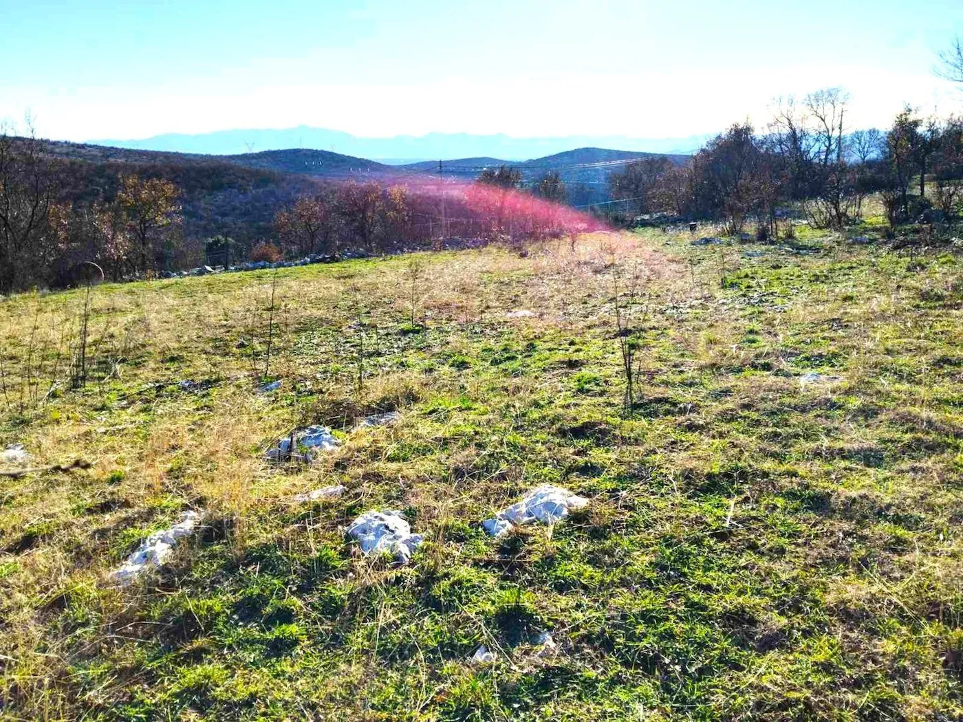Prodaja, plac, 3589m², Podgorica, Crna Gora