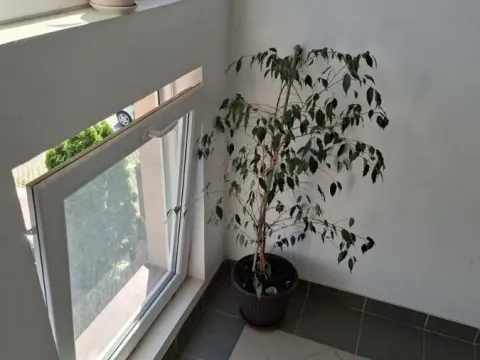 Prodaja, četvorosoban stan, 119m², Zemun Sve Podlokacije, Beograd - image 12