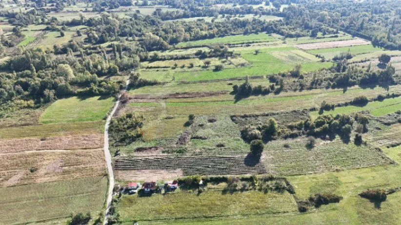 Prodaja, plac, 5500m², Zeta, Podgorica