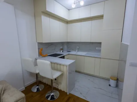 Izdavanje, jednosoban stan, 43m², Zabjelo, Podgorica - image 6