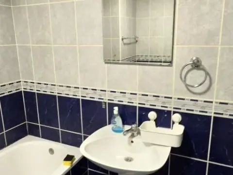 Izdavanje, dvosoban stan, 52m², Grbavica, Novi Sad Sve Podlokacije - image 12