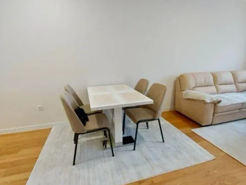 Izdavanje, jednosoban stan, 49m², Central Point, Podgorica - image 5