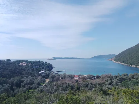 Prodaja, plac, 11000m², Luštica, Tivat - image 2