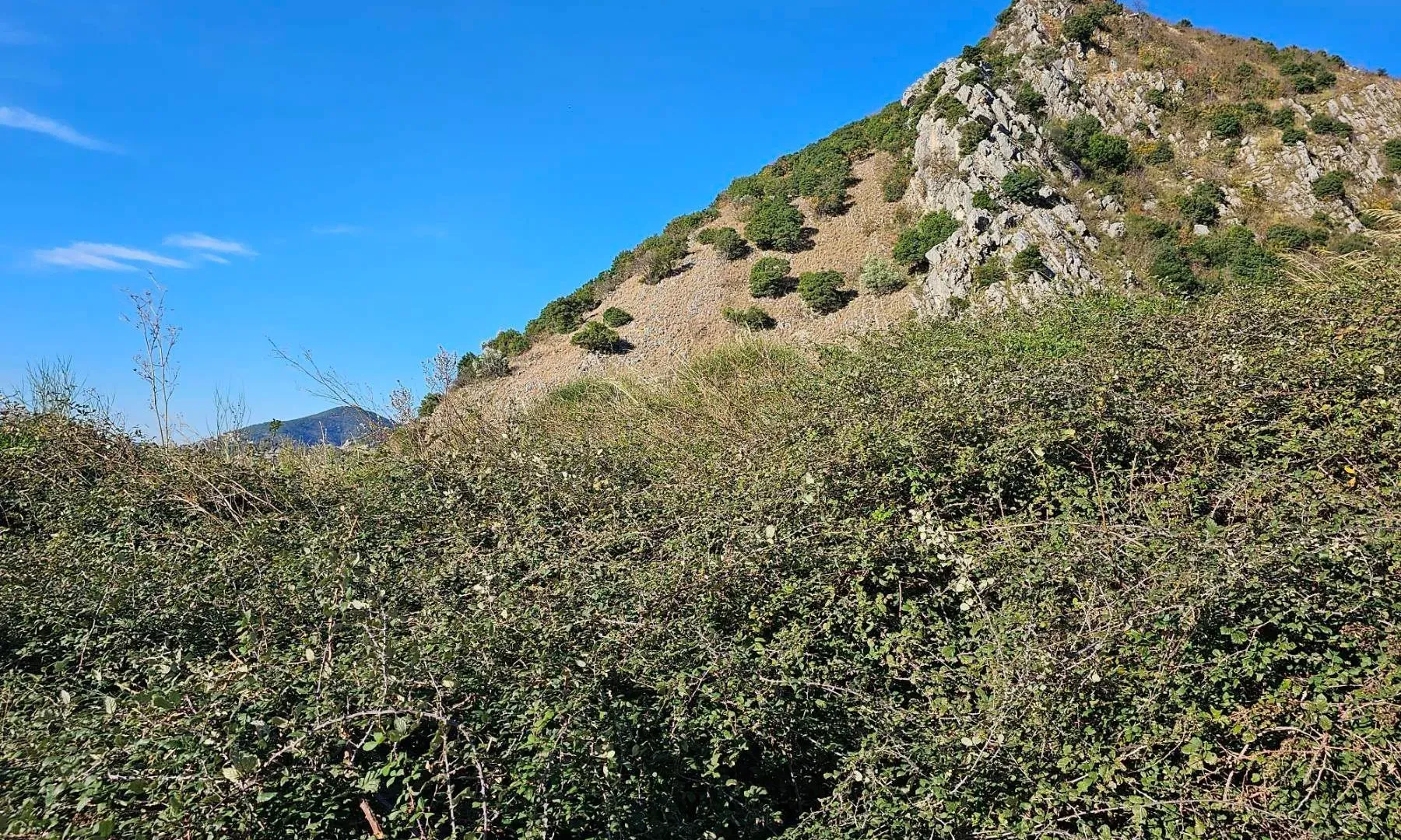 Prodaja, plac, 1494m², Bečići, Budva