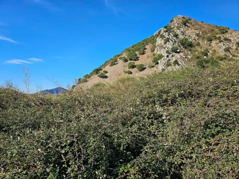 Prodaja, plac, 1494m², Bečići, Budva - image 5