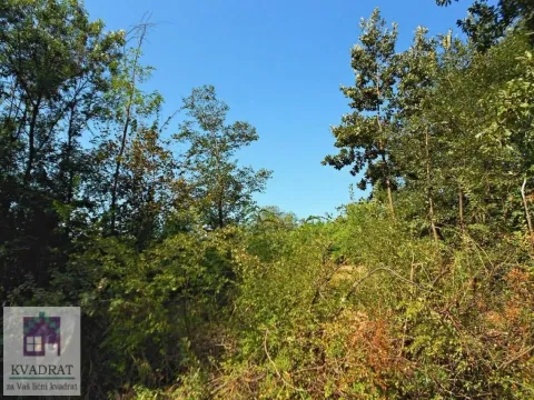 Prodaja, plac, 1700m², Mala Moštanica, Obrenovac - image 3