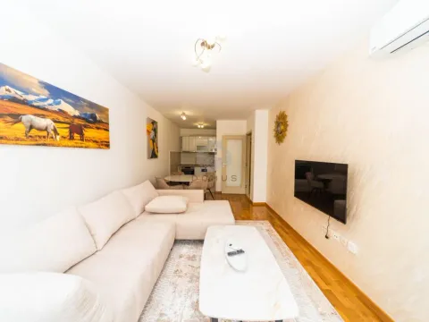 Rent, one bedroom apartment, 46m², Zagorič, Podgorica - image 2