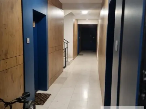 Izdavanje, trosoban stan, 55m², Šumice, Beograd - image 2