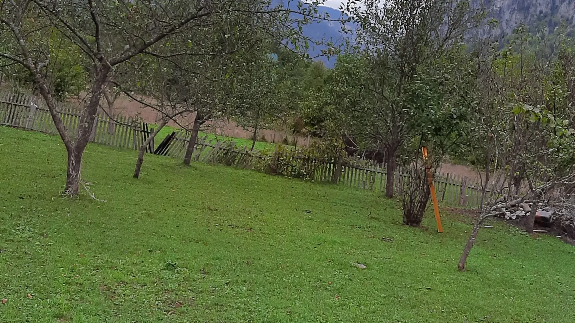 Prodaja, plac, 4000m², Dobrilovina, Mojkovac