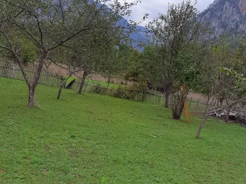 Prodaja, plac, 4000m², Dobrilovina, Mojkovac - image 9