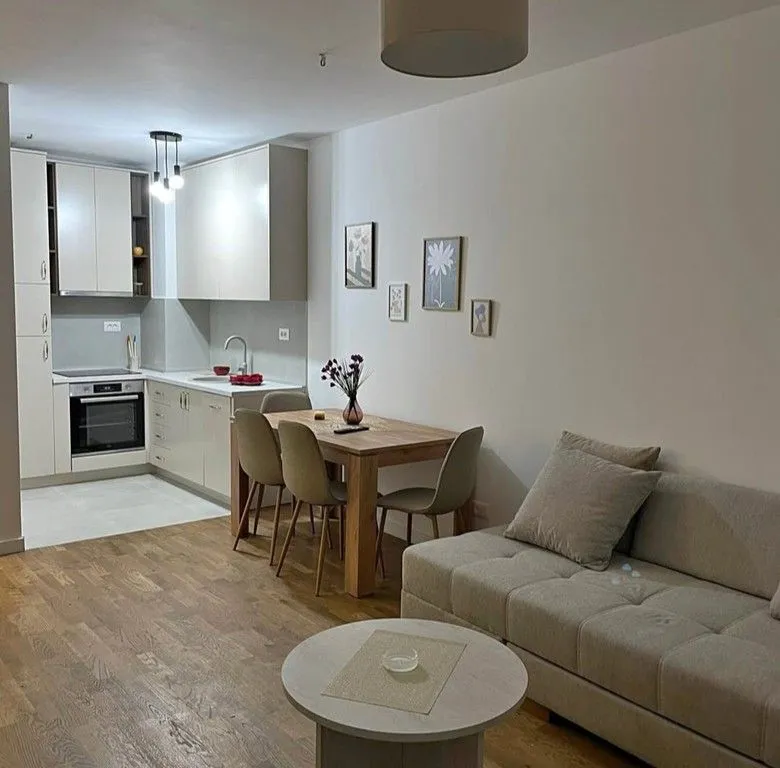 Izdavanje, jednosoban stan, 47m², Stari Aerodrom, Podgorica