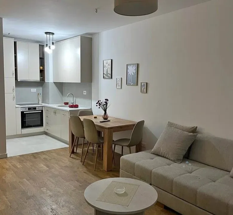 Rent, one bedroom apartment, 47m², Stari Aerodrom, Podgorica