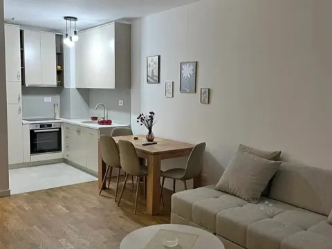 Izdavanje, jednosoban stan, 47m², Stari Aerodrom, Podgorica - image 1