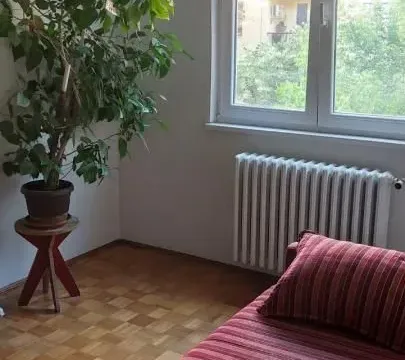 Prodaja, dvosoban stan, 47m², Detelinara, Novi Sad Sve Podlokacije - image 6