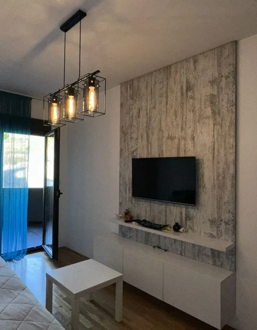 Rent, one bedroom apartment, 49m², Vezirov Most, Podgorica
