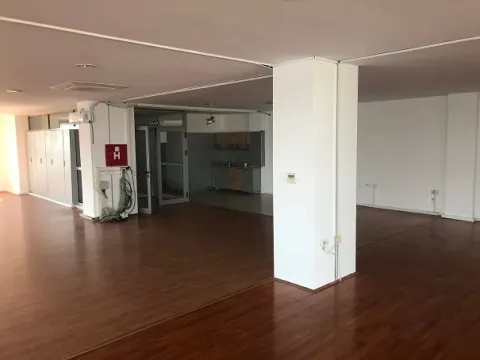 Izdavanje, poslovni prostor, 740m², Zemun Sve Podlokacije, Beograd - image 5