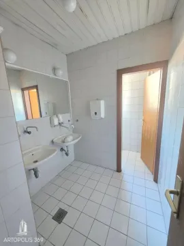 Izdavanje, poslovni prostor, 210m², Botanička Bašta, Palilula Sve Podlokacije - image 7