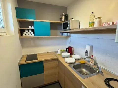 Izdavanje, poslovni prostor, 300m², Centar, Kragujevac - image 18