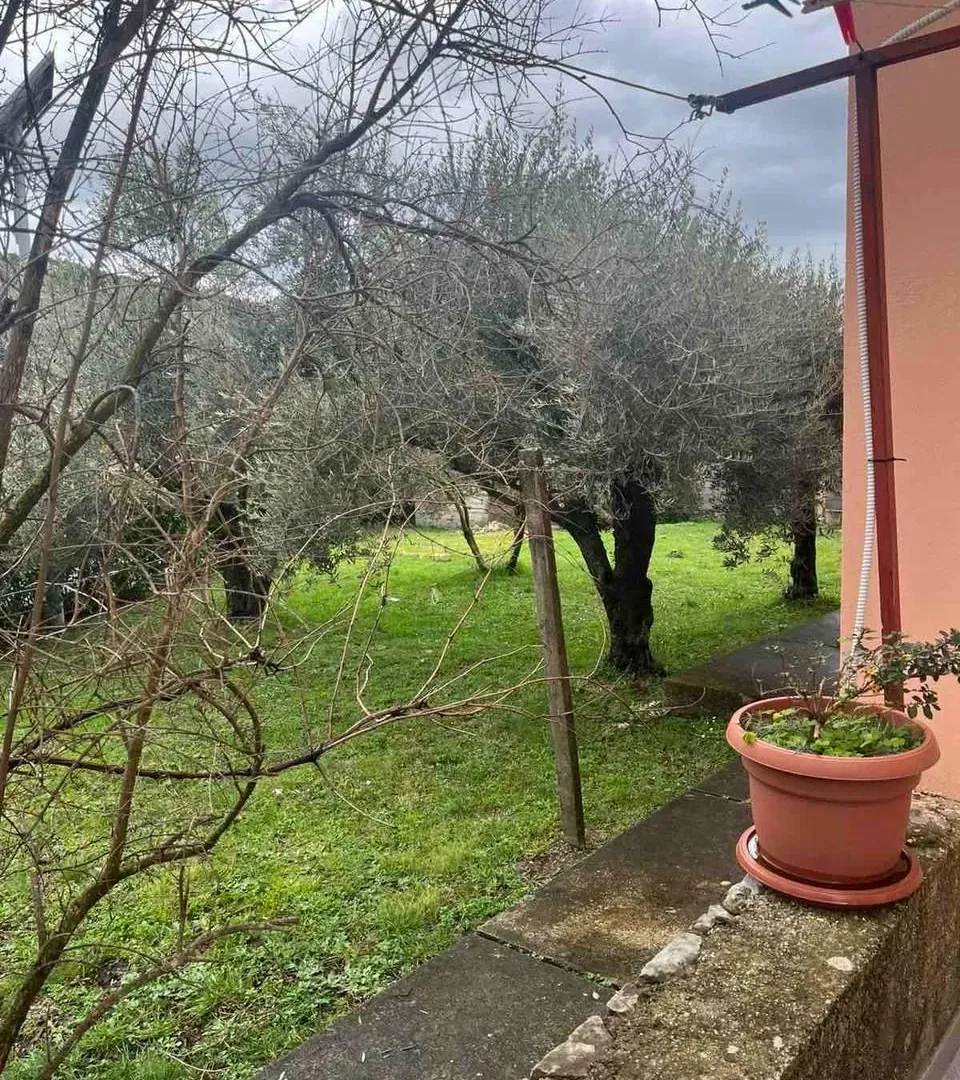 Dvorište kuće sa drvećem i zelenom površinom.