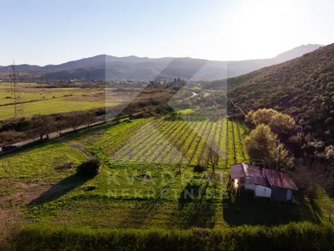 Sale, land lot, 13000m², Beri, Podgorica - image 13