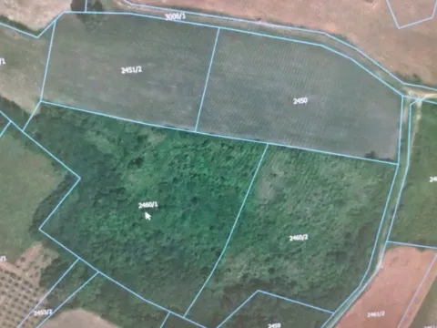 Prodaja, plac, 13532m², Mala Ivanča, Sopot - image 5