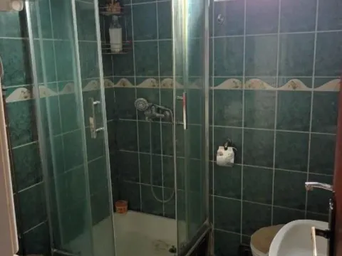 Sale, house, 260m², Misa, Pančevo - image 11