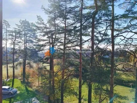 Prodaja, stan, 39m², Palisad, Zlatibor - image 17