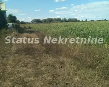 Sale, land lot, 2200m², Begeč, Novi Sad Sve Podlokacije - image 6