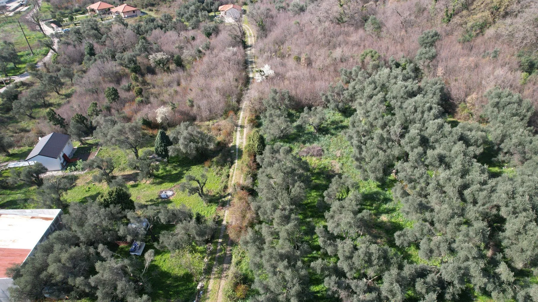 Prodaja, plac, 15810m², Buljarica, Budva