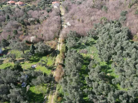 Prodaja, plac, 15810m², Buljarica, Budva - image 25