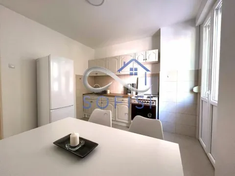 Izdavanje, dvosoban stan, 52m², Liman 1, Novi Sad Sve Podlokacije - image 3