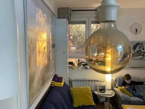 Prodaja, dvosoban stan, 60m², Kluz, Zvezdara Sve Podlokacije - image 4