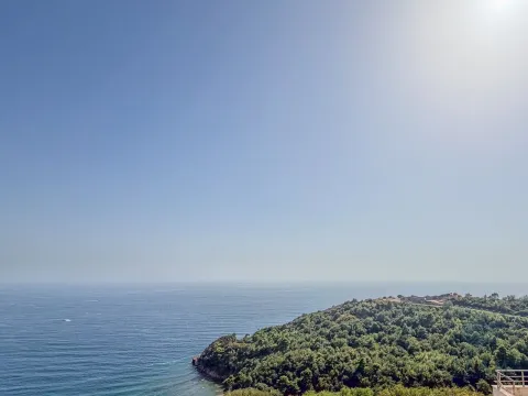 Pogled na more i zelenu obalu. - image 23