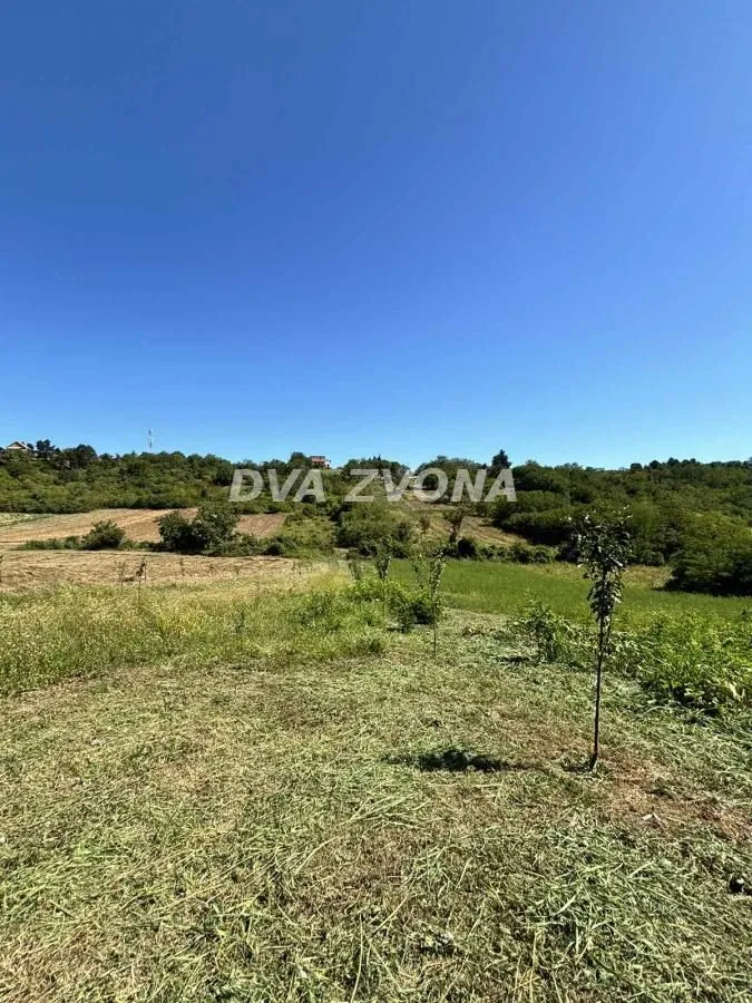 Prodaja, plac, 6000m², Čortanovci, Inđija