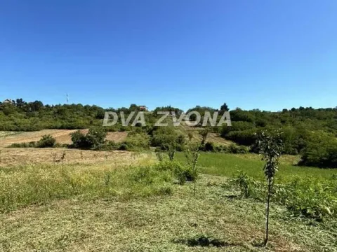 Sale, land lot, 6000m², Čortanovci, Inđija - image 5