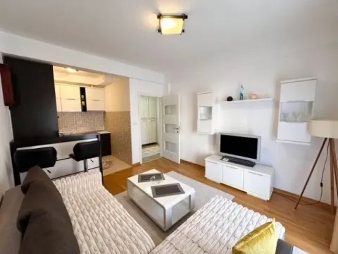 Izdavanje, jednosoban stan, 45m², Podgorica, Crna Gora - image 9