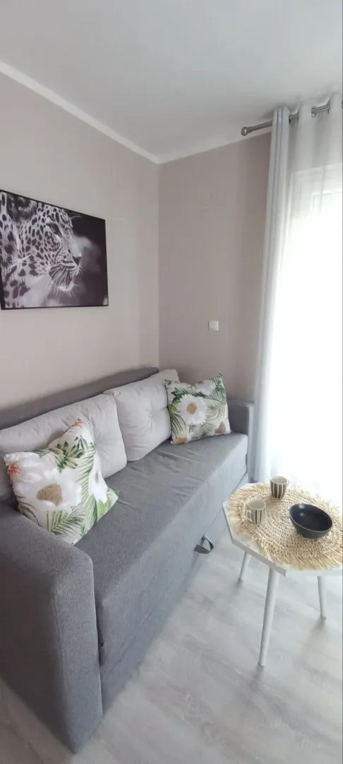 Living room with a grey sofa, pillows, and a small coffee table near the window.
