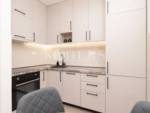 Rent, one bedroom apartment, 39m², Zabjelo, Podgorica - image 2