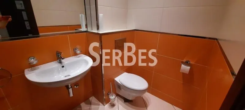 Rent, office space, 210m², Bulevar Oslobodjenja, Novi Sad Sve Podlokacije