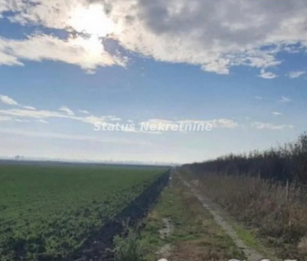 Prodaja, plac, 16304m², Bela Palanka, Srbija