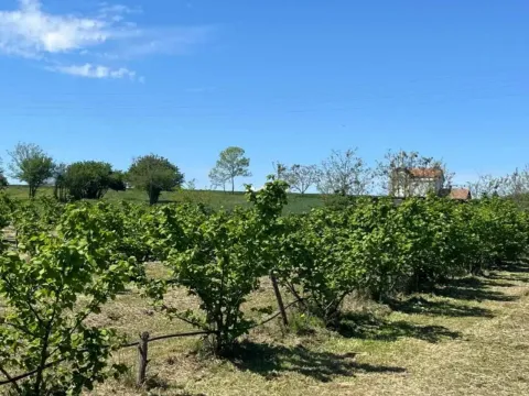 Prodaja, plac, 5000m², Vladimirci, Srbija - image 12
